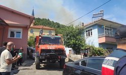 ZONGULDAK'IN DEVREK İLÇESİNDE ORMAN YANGINI ÇIKTI