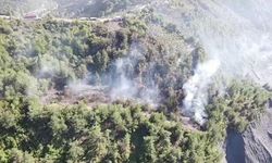 ZONGULDAK'TA FINDIK TARLASINDA ÇIKAN YANGIN ARAZİYE SIÇRADI