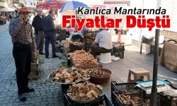 KANLICA MANTARINDA FİYAT DÜŞTÜ