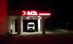 BARİYERLERE ÇARPAN OTOMOBİLDEKİ 2 KİŞİ YARALANDI