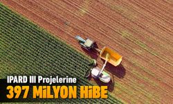 38 PROJEYE 397 MİLYONLUK HİBE