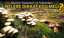 MANTAR TOPLARKEN VE TÜKETİRKEN DİKKAT!