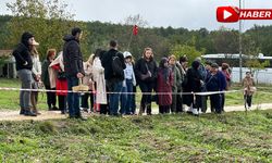 SAFRAN TARLALARINDA HAFTA SONU YOĞUNLUĞU