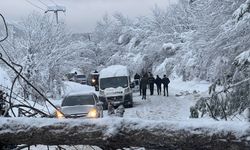 BOLU'DA TATİLCİLER KARLI HAVADA 1 SAAT MAHSUR KALDI