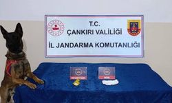 ÇANKIRI'DA ÇEŞİTLİ SUÇLARDANA RANAN 45 KİŞİ YAKALANDI