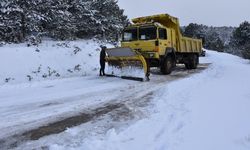 KARABÜK'TE KAR YAĞIŞINDAN SONRA KAPANAN TÜM YOLLAR AÇILDI