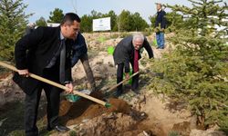 KASTAMONU'DA 15 BİN FİDAN TOPRAKLA BULUŞTU