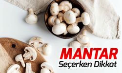 MANTAR SEÇERKEN DİKKAT !