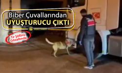 BİBER ÇUVALLARINDAN UYUŞTURUCU ÇIKTI