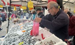 ZONGULDAK'TA TEZGAHLARDA HAMSİ BOLLUĞU