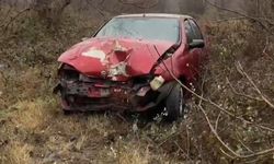 DOMUZA ÇARPAN OTOMOBİL SÜRÜCÜSÜ YARALANDI
