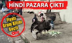 HİNDİ FİYATLARI GRAM ALTINI GEÇTİ