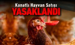 KANATLI HAYVAN SATIŞI YASAKLANDI