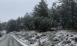 KASTAMONU'DA YÜKSEK KESİMLER BEYAZA BÜRÜNDÜ