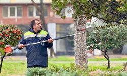KARABÜK'TE PEYZAJ ÇALIŞMALARI SÜRÜYOR