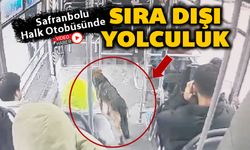 SOKAK KÖPEĞİNİN OTOBÜS MECERASI KAMERALARA YANSIDI