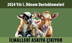 2024 I. DÖNEM DESTEKLEME İCMALLERİ ASKIYA ÇIKIYOR