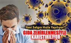 YENİ SALGIN GIDA ZEHİRLENMESİYLE KARIŞTIRILIYOR