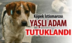 KÖPEK İSTİSMARCISI YAŞLI ADAM TUTUKLANDI