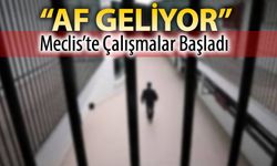 TBMM'DE AF ÇALIŞMALARI BAŞLADI