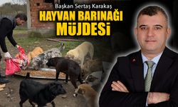 BAŞKAN KARAKAŞ'TAN YENİCE'YE HAYVAN BARINAĞI MÜJDESİ