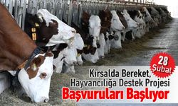 KIRSALDA BEREKET HAYVANCILIĞA DESTEK PROJESİ BAŞVURULARI BAŞLIYOR