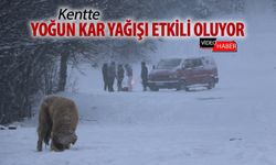 KENTTE YOĞUN KAR YAĞIŞI ETKİLİ OLUYOR