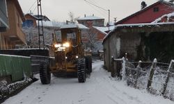 ZONGULDAK'TA KAPALI KÖY YOLU SAYISI 142 OLDU