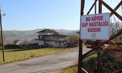 ZONGULDAK'TA BİR KÖY KARANTİNAYA ALINDI