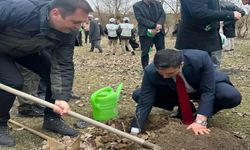 KASTAMONU'DA ŞEHİT VE GAZİLER İÇİN FİDAN DİKİLDİ