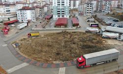 KASTAMONU'DA TIR SÜRÜCÜLERİNİN PARK ÇİLESİ