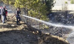 BOLU'DA ÇIKAN ÖRTÜ YANGINI AĞAÇLARA SIÇRADI