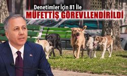 SOKAK HAYVANLARI İÇİN MÜFETTİŞ GÖREVLENDİRİLİYOR