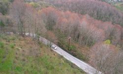 ZONGULDAK'TA DOĞA YAZ MEVSİMİNİ MÜJDELEDİ