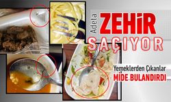 HASTANE YEMEKLERİNDEN ÇIKANLAR ADETA ZEHİR SAÇIYOR