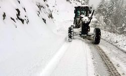 KASTAMONU'DA 181 KÖY YOLU ULAŞIMA KAPANDI