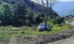 KASTAMONUDA OTOMOBİL AĞACA ÇARPTI
