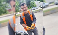 KASTAMONU'DA ARAÇ MOTORUNA DOĞAN YAVRU KEDİLERİ İTFAİYE KURTARDI