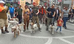 PROFESYONEL ARICILAR DEVREK'TE BULUŞTU
