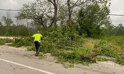 BARTIN'DA ŞİDDETLİ FIRTINADA AĞAÇLAR DEVRİLDİ