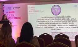BEUN AKADEMİSYENLERİNDEN ULUSLARARASI BAŞARI