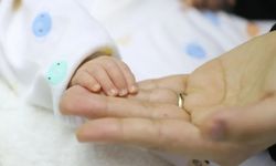 ZONGULDAK'TA DOĞURGANLIK HIZI AZALIYOR