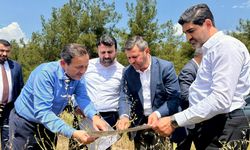 AK PARTİ HEYETİ'NDEN GAR SAHASINDA İNCELEME