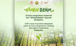 KADI ORMAN PARKI'NDA FARKINDALIK ETKİNLİĞİ DÜZENLENECEK