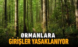 ORMANLARA GİRİŞLER YASAKLANIYOR
