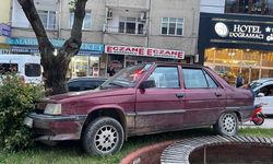 PARK HALİNDE HAREKET EDEN ARAÇ AĞACA ÇARPARAK DURABİLDİ