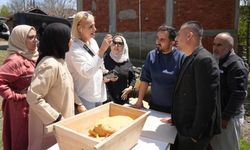 SİYEZ ORTA DOĞU SOFRALARINI SÜSLEYECEK
