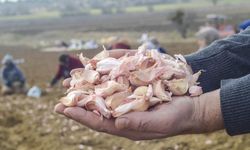 BAŞKAN ARSLAN UYARDI: SARIMSAĞIMIZ HENÜZ ÇIKMADI