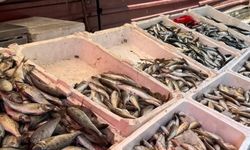 ZONGULDAK'TA TEZGAHLAR ŞENLENDİ