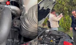 OTOMOBİLİN MOTORUNA SIKIŞAN YAVRU KEDİ KURTARILDI